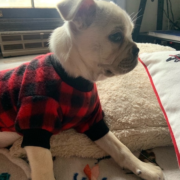 Blue Sky Boutique Dog Hp Nwt Buffalo Plaid Dog Pajamas Poshmark